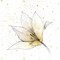 Gilded Graphite Floral IX Poster Print by Avery Tillmon - Item # VARPDX20095